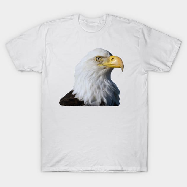 Bald Eagle T-Shirt by dodgerfl